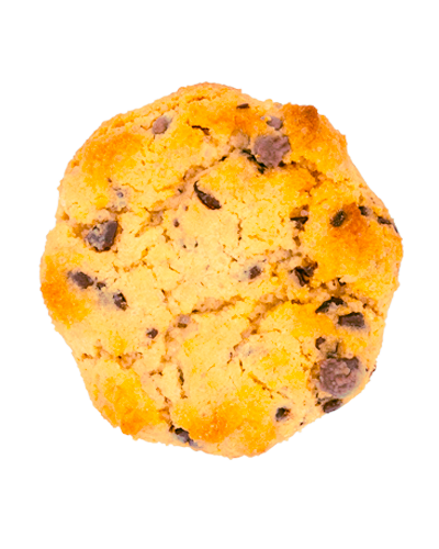 Foto de cookies de chocolate fondo blanco